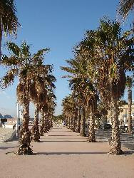 LA CIOTAT  T3 64 M²  situation exceptionnelle pieds dans l'eau,climatisé,garage,ascenseur