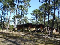 VOS  VACANCES A  CARCANS MAUBUISSON (33)