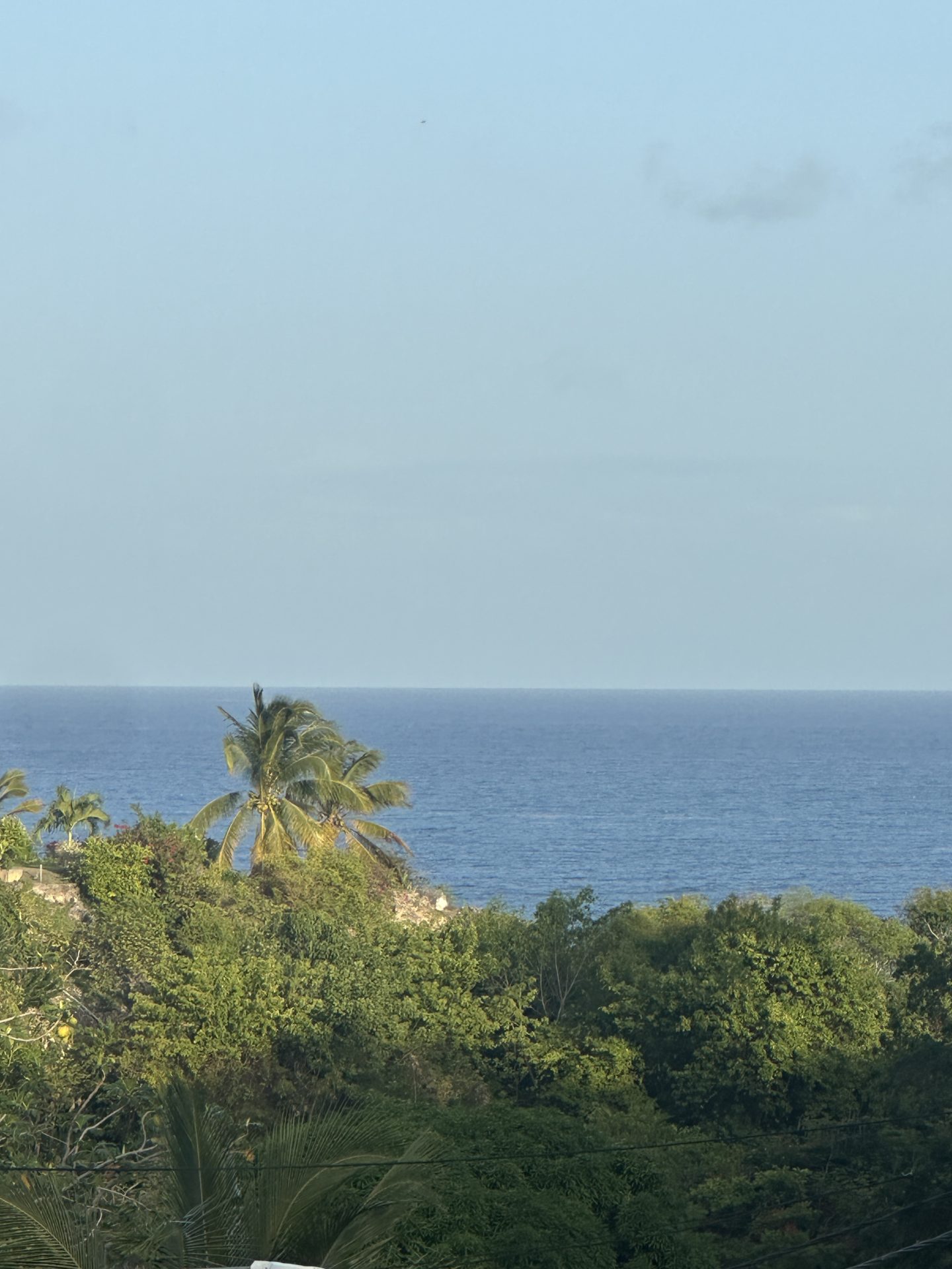 LOCATION VILLA HIBISCUS VUE MER — photo 6