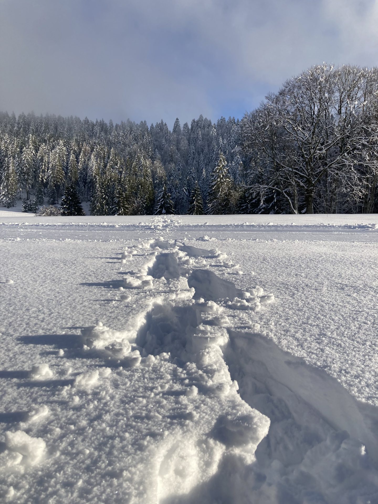 Nos étendues de neige l'hiver avec ski de fond sur place
