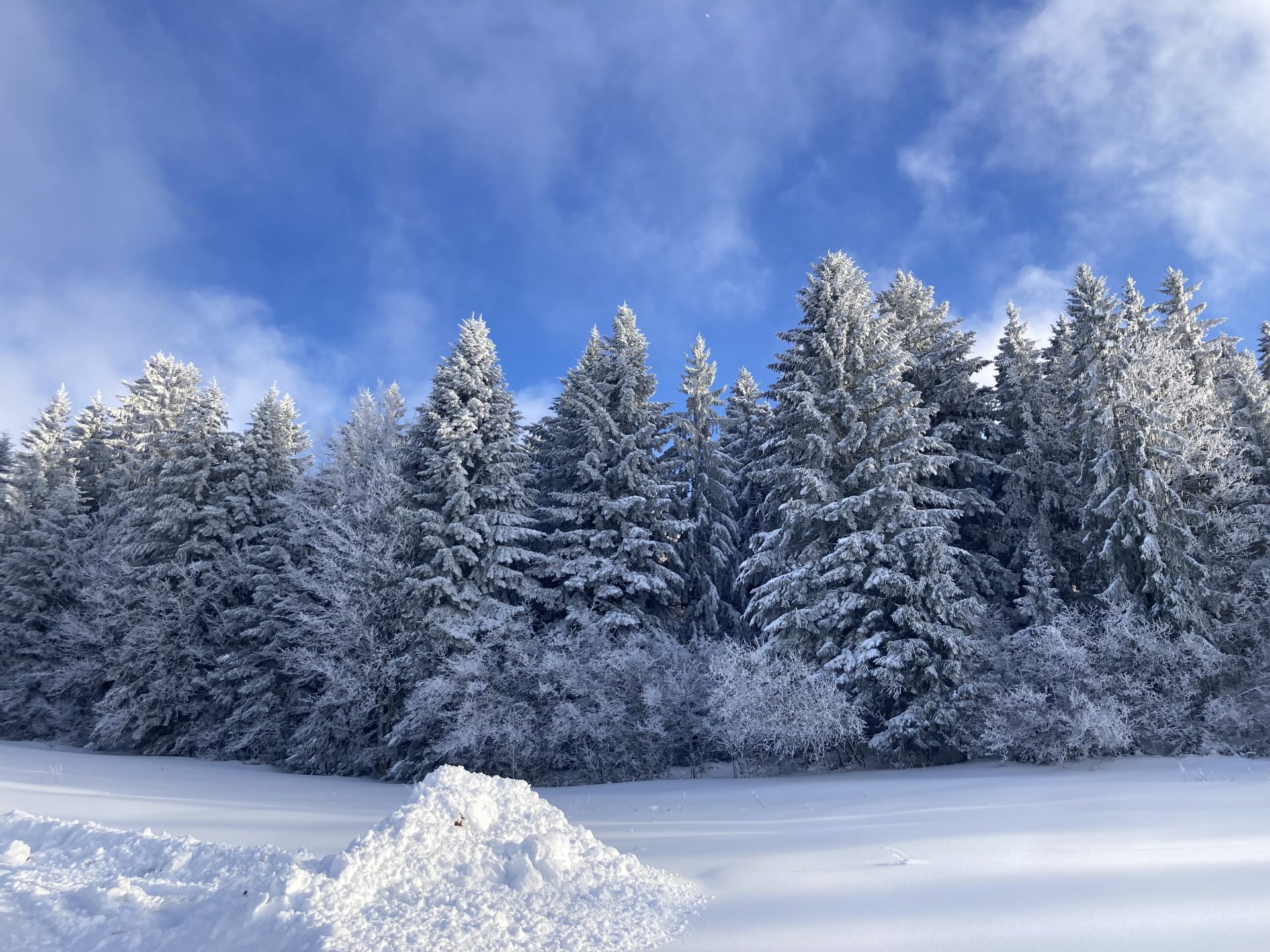 Vue depuis les gites
