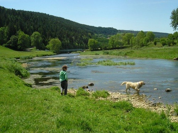Notre rivière du Doubs à 5 kms du gîte