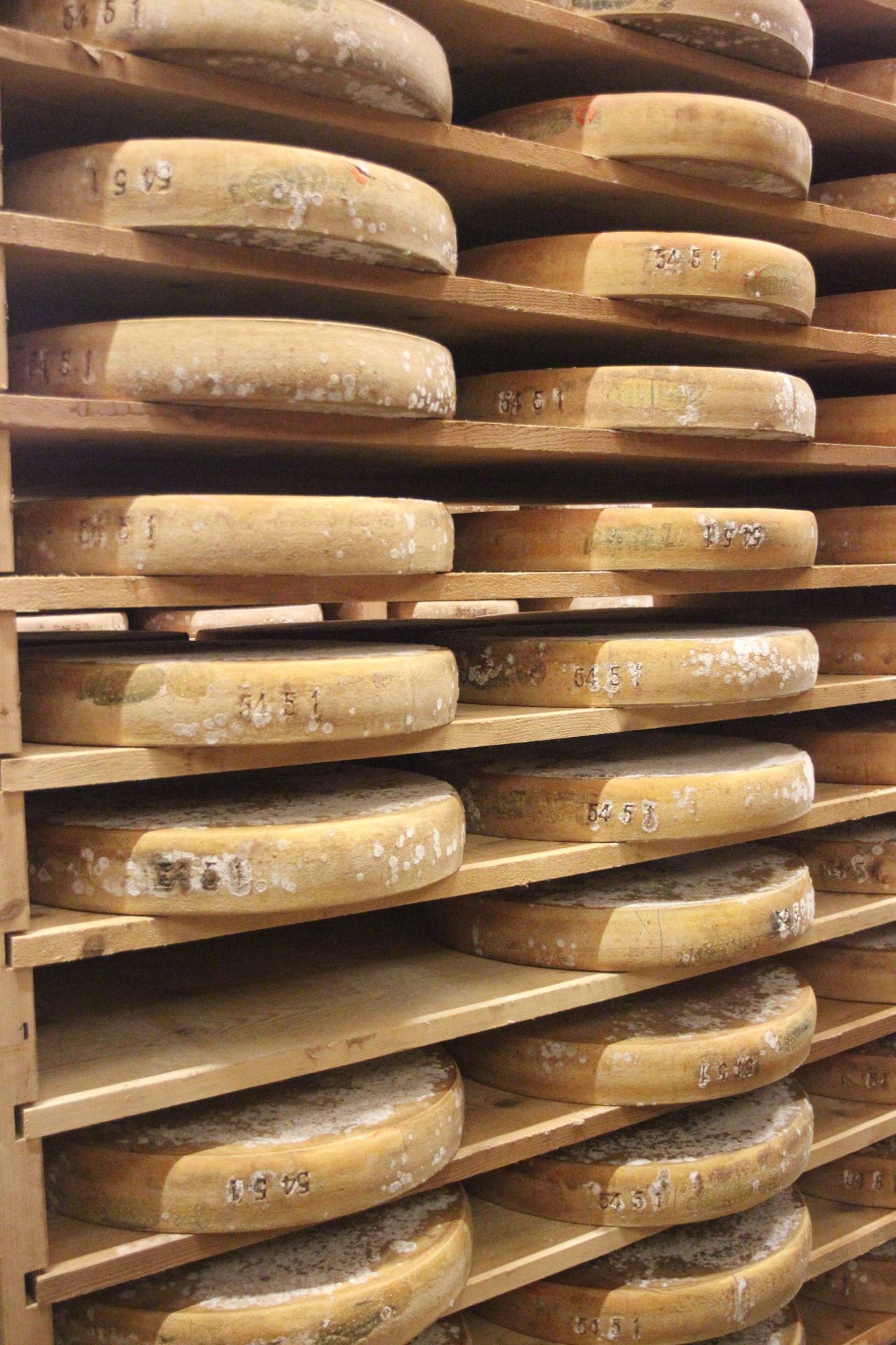 Nos meules de fromage à l'affinage attendant d'être à maturité pour être dégustées.