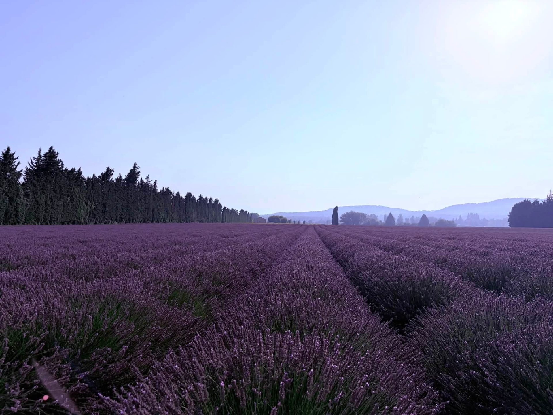 Location Provence- Vaucluse maison 4 personnes — photo 13