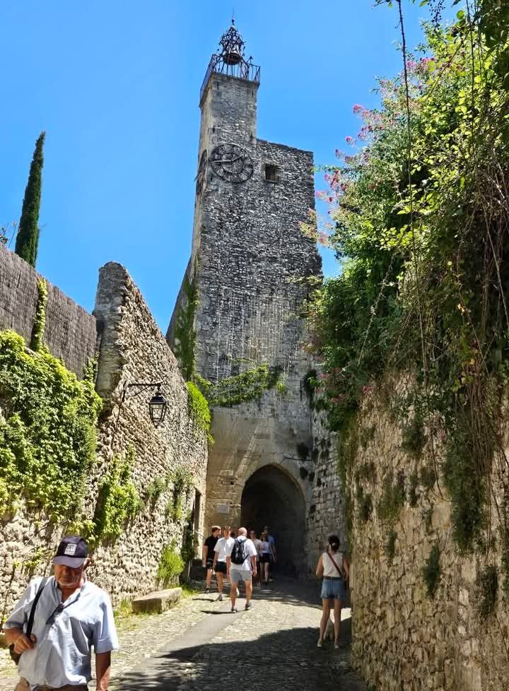 Location Provence- Vaucluse maison 4 personnes — photo 17