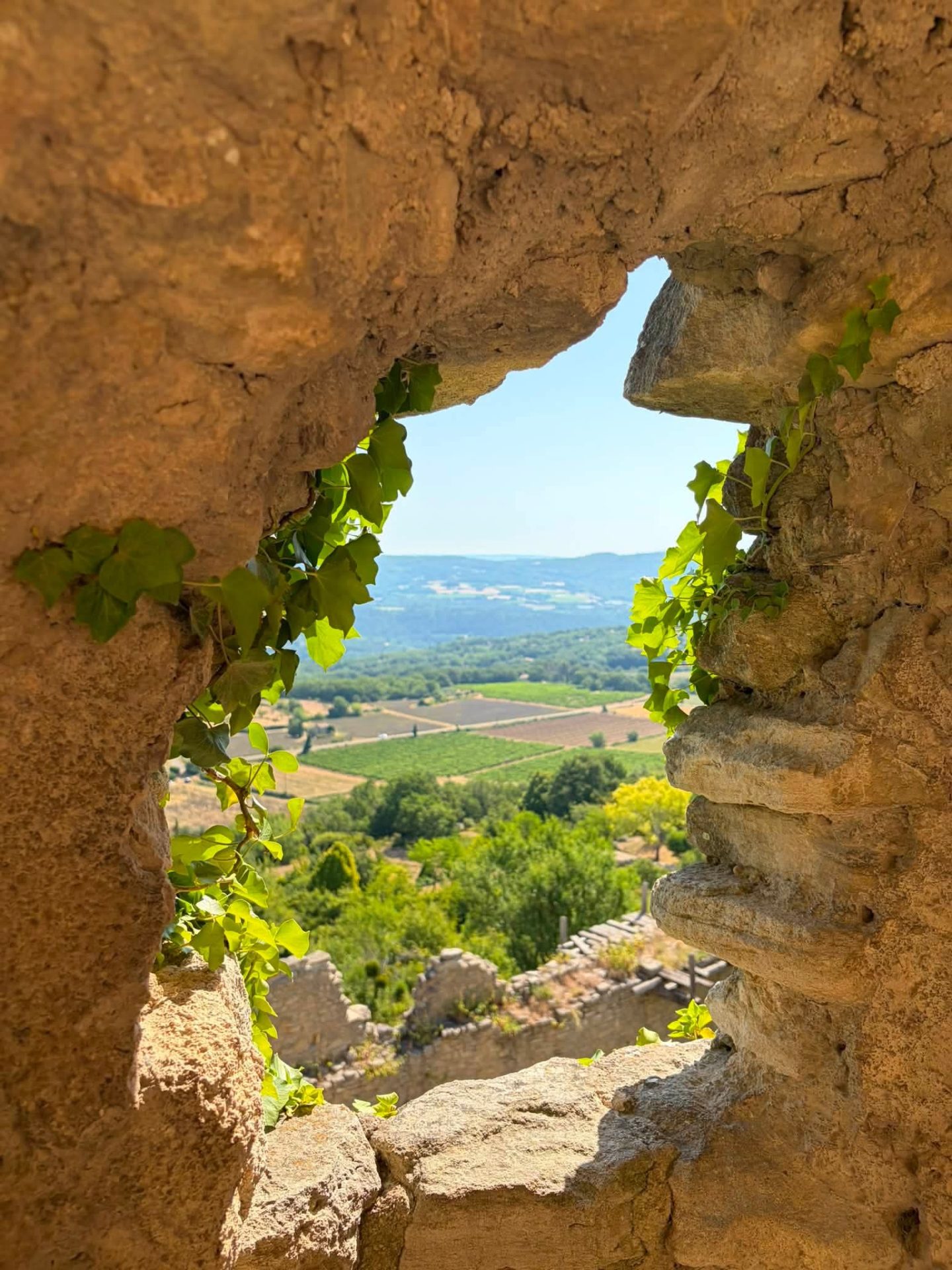 Location Provence- Vaucluse maison 4 personnes — photo 18