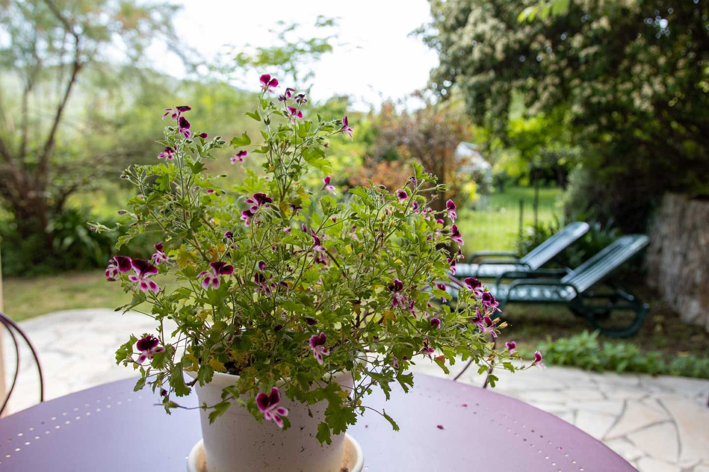 La Pascaline – Gîte 4 étoiles avec jardin privé près de Grasse, Cannes et Nice – 4 personnes — photo 11