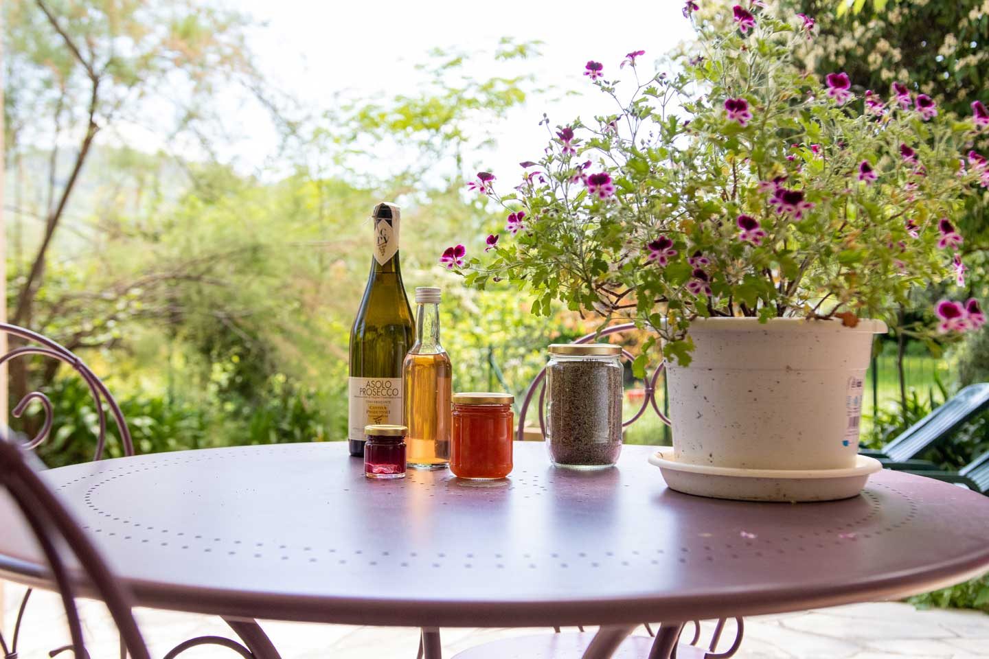 La Pascaline – Gîte 4 étoiles avec jardin privé près de Grasse, Cannes et Nice – 4 personnes — photo 14